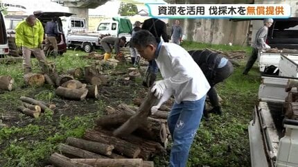 丸太の無償配布” に長蛇の列…伐採の樹木1000本が1時間で終了！薪