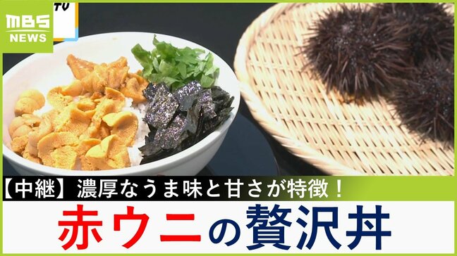 超贅沢！「由良の赤ウニ」は苦みが少なく甘さ濃厚！生と焼きの２種で豪華な絶品丼づくり　兵庫・洲本市【川地洋平の最旬！丼マン】|TBS NEWS DIG