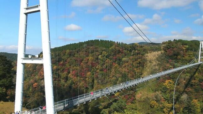大分県内の人気紅葉スポット 2025年の見頃情報|TBS NEWS DIG