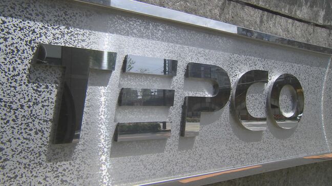 東電エリアで約4260軒の停電 神奈川、千葉、埼玉県 大雨の影響も調査(午後9時時点)|TBS NEWS DIG