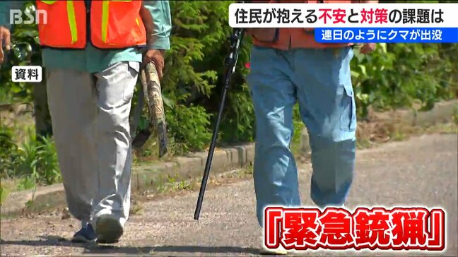 新潟県内初の『クマ緊急銃猟』その時 周辺住民は？連日クマが出没する集落は「過疎化による人手不足」対応に苦慮|TBS NEWS DIG