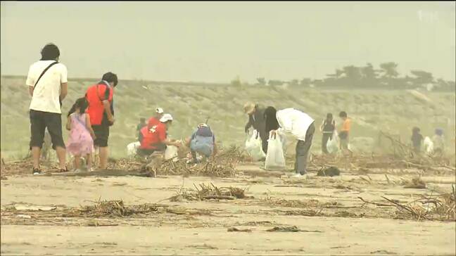 深沼海水浴場近くの砂浜で清掃活動 大量に流れつくプラスチックごみ「豆管」とは 仙台|TBS NEWS DIG
