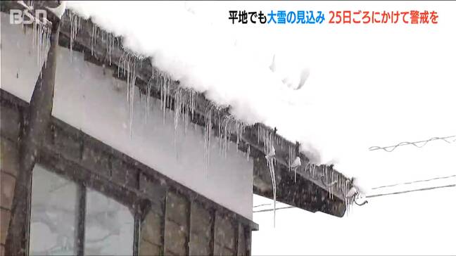 新潟県内は25日まで大雪続く見込み　列車運行見合わせや高速道などの予防的通行止めに注意|TBS NEWS DIG