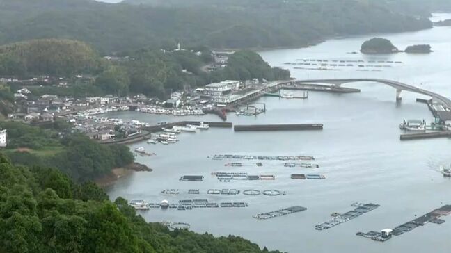 赤潮により長島町で養殖ブリなど死ぬ　被害数や金額は調査中であす26日県が現地調査　鹿児島|TBS NEWS DIG