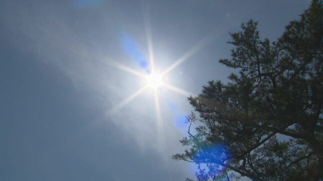 山林で80代男性が倒れているのを家族が発見、意識なくドクターヘリで搬送…80代女性が室内でぐったりしているのを警察官が発見 熱中症疑いによる救急搬送相次ぐ|TBS NEWS DIG