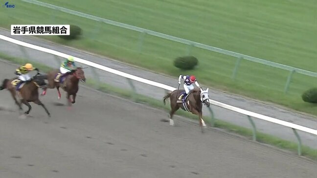 岩手競馬の重賞・クラスターカップ　高松亮騎手騎乗の1番人気、サンライズアムールが優勝|TBS NEWS DIG