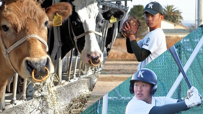 21世紀枠で選抜出場なるか　高知農業が挑む「農業×野球」の融合、限られた時間を工夫に変える21人の冬|TBS NEWS DIG
