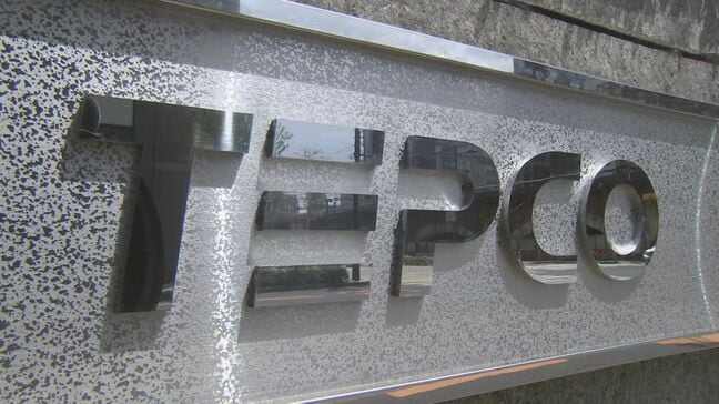 東電エリアで約4240軒の停電　神奈川、千葉、山梨、群馬県　大雨の影響も調査（午後7時54分 時点）|TBS NEWS DIG