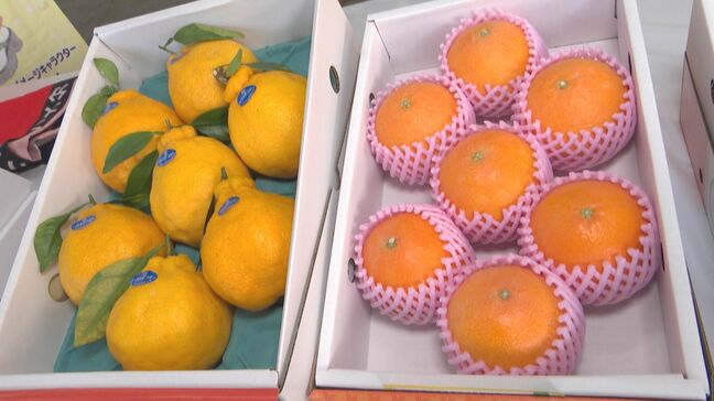 ハウスデコポンとハウス美娘の初競り　例年並みの価格で取り引き　大分|TBS NEWS DIG