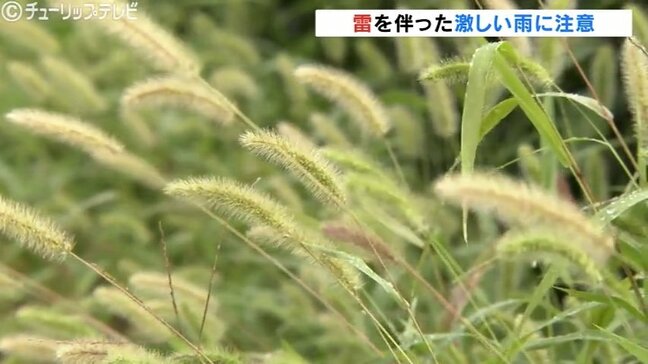 夕方にかけ落雷や激しい雨に注意　10月入り衣替えシーズンも最高気温は25℃予想　富山|TBS NEWS DIG