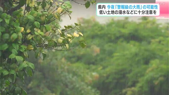 高知県内は24日夜遅くにかけて「警報級の大雨」の可能性　低い土地の浸水などに注意|TBS NEWS DIG