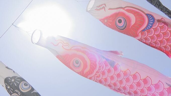 仁保川に色とりどりのこいのぼり　140匹が風を受け泳ぐ　山口|TBS NEWS DIG