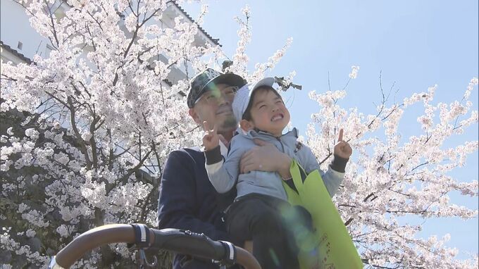 「きれいだね」鶴ヶ城公園のサクラ満開　ソフトクリームも売れ行き上々　福島・会津若松市|TBS NEWS DIG