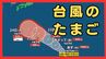 【台風発生へ】新たな「台風のたまご」=熱帯低気圧a 20日までに台風に発達し小笠原近海へ北上か　今後の進路と影響は【最新進路シミュレーション】　|　MBSニュース | 関西の最新ニュースを分かりやすく。