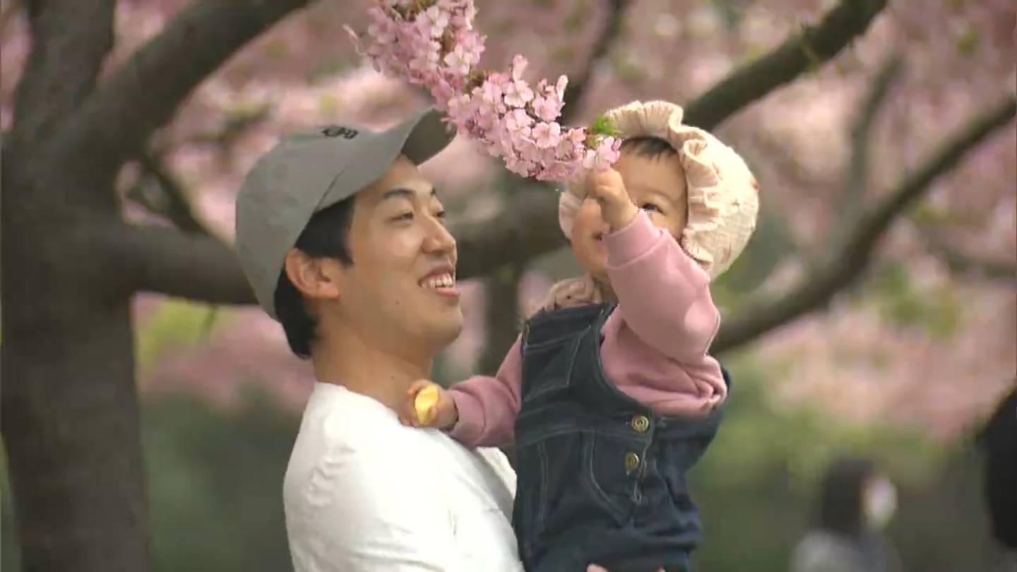 ひと足早い春を楽しんで 児島湖花回廊で河津桜の花見会 濃いピンク色