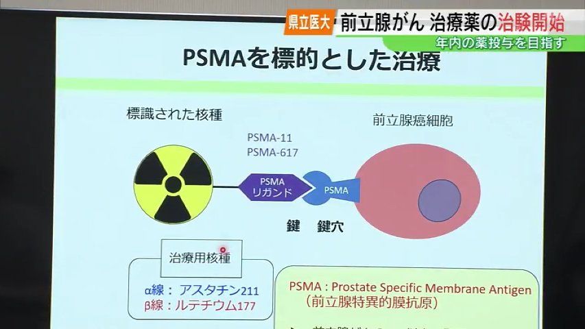 前立腺がん新薬開発、年内にも治験開始へ 県立医大 福島 | TBS NEWS DIG