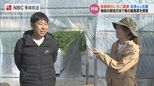 出荷量は平均の3倍『分単位の管理』でイチゴファースト夫婦の情熱 長崎 南島原市|TBS NEWS DIG