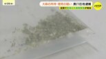去年12月に施行された改正麻薬取締法 大麻の使用の疑いで男(18)を逮捕　県内で初　麻薬取締部は「徹底的に取り締まる」　|　RCC NEWS | 広島ニュース | RCC中国放送