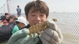 優勝は40分で77匹!「えび狩り世界選手権」 クルマエビ養殖発祥の地の恒例行事|TBS NEWS DIG