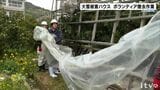 大雪で被災したかんきつ農業用ハウス ボランティアで撤去 | 愛媛のニュース - Nスタえひめ|あいテレビは6チャンネル