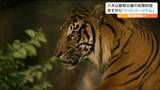 「ライトで浮かび上がる動物のシルエット」昼とは違った動物の姿が見られる『ナイトズージアム』とは 仙台・八木山動物公園|TBS NEWS DIG