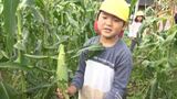 初めてのもぎ取りに大喜び　園児がトウモロコシの収穫を体験　取れたての味も満喫（長野・岡谷市）|TBS NEWS DIG