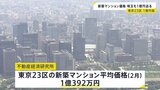 東京23区の新築マンション 2月の平均価格は10か月連続で1億円超 埼玉県内の平均価格も1億円に迫る勢い|TBS NEWS DIG