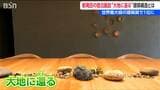 “大地に還る”建築がすごい! 世界注目の建築賞で1位を獲得したオーベルジュ 土地に“根”を張り歴史・文化をつなぐ「新潟を好きになってもらいたい」新潟・新発田市|TBS NEWS DIG