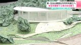 新・五台山展望台 4月中旬着工へ 安全祈願祭で工事の安全願う 早ければ2026年春に完成 | 高知のニュース・天気|KUTV NEWS | KUTVテレビ高知