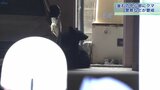 釜石市役所近くに出没のクマをわなで捕獲 被害なし 岩手県は「警報」発表|TBS NEWS DIG