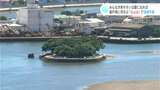 「みんなが来やすい公園になれば」浦戸湾に浮かぶ島「丸山台」で清掃作業|TBS NEWS DIG