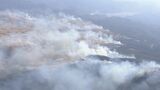 春を呼ぶ秋吉台の山焼き 24日に延期 山口県美祢市|TBS NEWS DIG