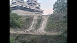 【今だからこそ！熊本城⑧】10年前と今回「２度の地震被害」が見られる石垣も　“特徴的”な国重文の部材の破損　（地震の瞬間の動画あり）2026年熊本地震|TBS NEWS DIG