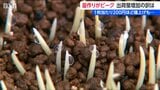 燃料・農薬値上げでも稲作農家の生産意欲は旺盛　田植えに向けて苗づくり最盛期　新潟　　|　新潟のニュース・天気｜BSN NEWS｜BSN新潟放送