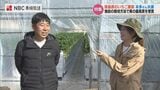 出荷量は平均の3倍『分単位の管理』でイチゴファースト夫婦の情熱 長崎 南島原市 | 長崎のニュース | 天気 | NBC長崎放送