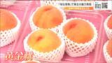 「『あら!』と思って買いました」マンゴーのような食感が特徴の黄金桃など東北の旬な果物並ぶ 仙台|TBS NEWS DIG