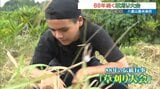 高3男子のノルマはなんと35キロ! 88年続く伝統の草刈り大会 石垣市の八重山農林高校 | 沖縄のニュース|RBC 琉球放送