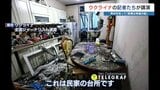 ウクライナ「現地では電気・インターネット乏しく自国の状況つかめず」 ウ支援のグリーンコープ生協くまもとが講演会主催 | 熊本のニュース|RKK NEWS|RKK熊本放送