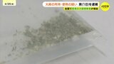 去年12月に施行された改正麻薬取締法 大麻の使用の疑いで男(18)を逮捕 県内で初 麻薬取締部は「徹底的に取り締まる」|TBS NEWS DIG