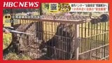 「お前、俺のこと知らねえのか?」ヒグマ駆除をめぐり副議長の発言で地元ハンターが“出動拒否”約1か月半後に副議長は謝罪 町は対応マニュアル策定へ 北海道積丹町 | 北海道のニュース|HBC北海道放送