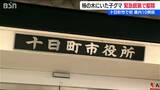 柿の木にいた子グマを緊急銃猟で駆除 十日町市では初 新潟県で10例目 | 新潟のニュース・天気|BSN NEWS|BSN新潟放送