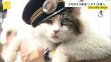 2代目ネコ駅長「ニタマ」が死ぬ 和歌山電鉄のPRに貢献 社長代理の職にも就く|TBS NEWS DIG