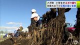 「長っ!」児童たちがゴボウの収穫体験に挑戦!青森県六戸町|TBS NEWS DIG