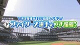 【日本ハム】“細かすぎる”プチ情報をお届け ファン必見!伊藤・山縣・郡司・清宮の“あれこれ” | 北海道のニュース|HBC北海道放送