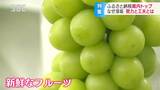 「シャインマスカット」が人気の秘密!!ふるさと納税申込件数「3年連続長野県トップ」自治体あの手この手 長野 | SBC NEWS | 長野のニュース | SBC信越放送
