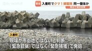 約1メートルのクマ1頭を駆除　黒部川河口で連日目撃された同一個体か　「緊急捕獲」として2発発砲　富山・入善町　|　富山のニュース｜天気・防災｜チューリップテレビ