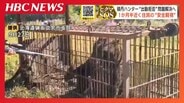 「お前、俺のこと知らねえのか？」ヒグマ駆除をめぐり副議長の発言で地元ハンターが“出動拒否”約1か月半後に副議長は謝罪　町は対応マニュアル策定へ　北海道積丹町　|　北海道のニュース｜HBC北海道放送