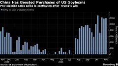 中国、米国産大豆の購入継続－貿易戦争警戒下で想定外の動き| TBS CROSS DIG with Bloomberg