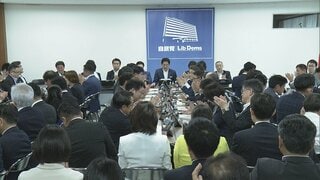 自民党が会合で「骨太の方針」を了承　食料品の消費税減税をどうするかは未定のまま| TBS CROSS DIG with Bloomberg