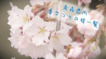 青森県内の主な桜（春）まつりの日程一覧まとめ　|　ATV NEWS│青森のニュース│ATV青森テレビ